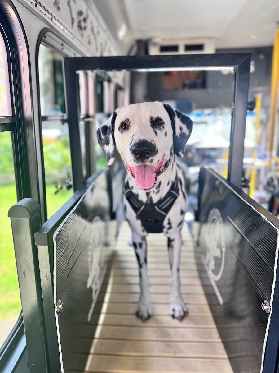 Bark And Run Mobile - K9 Cardio & Conditioning Gym - Mobile dog grooming in Montgomery, MA