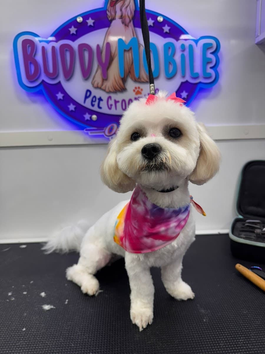 Buddy Mobile Pet Grooming of Central Florida - Mobile dog grooming in Winter Garden, FL