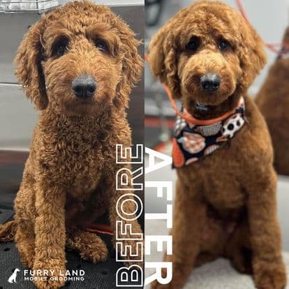 Furry Land Mobile Pet Grooming Fort Wayne - Mobile dog grooming in Fort Wayne, IN