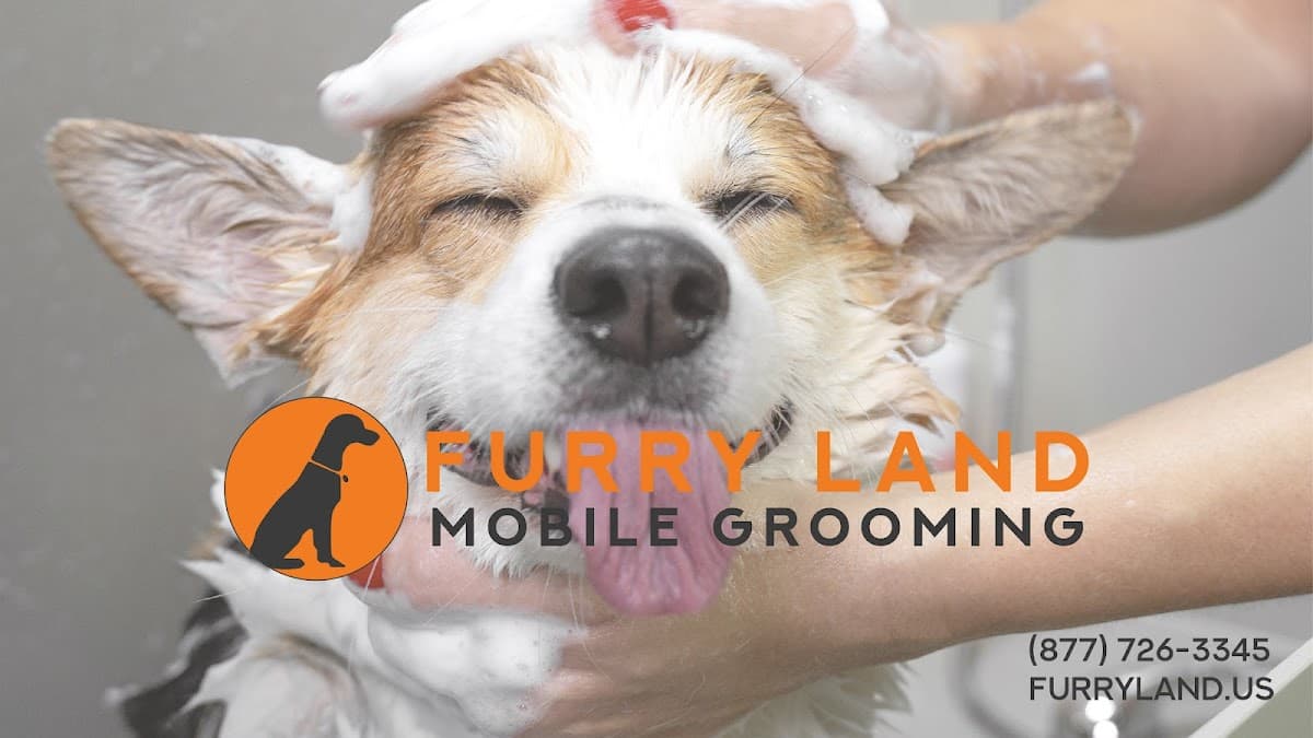 Furry Land of West Palm Beach, FL Mobile Pet Grooming - Mobile dog grooming in Boynton Beach, FL