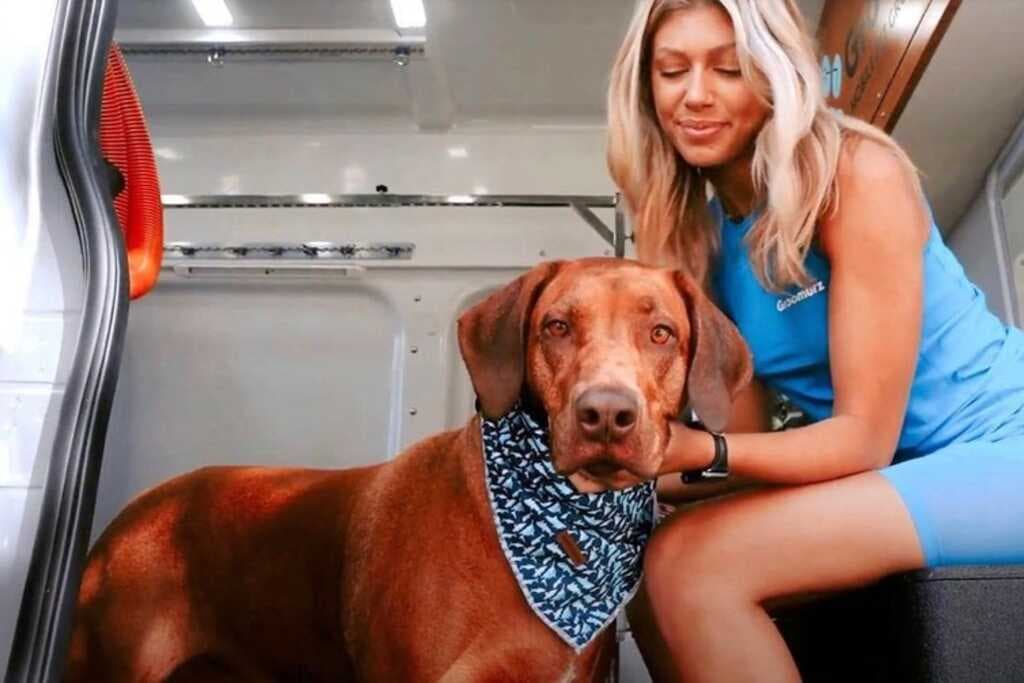 Groomurz Mobile Pet Grooming - Huntington Beach - Mobile dog grooming in Huntington Beach, CA