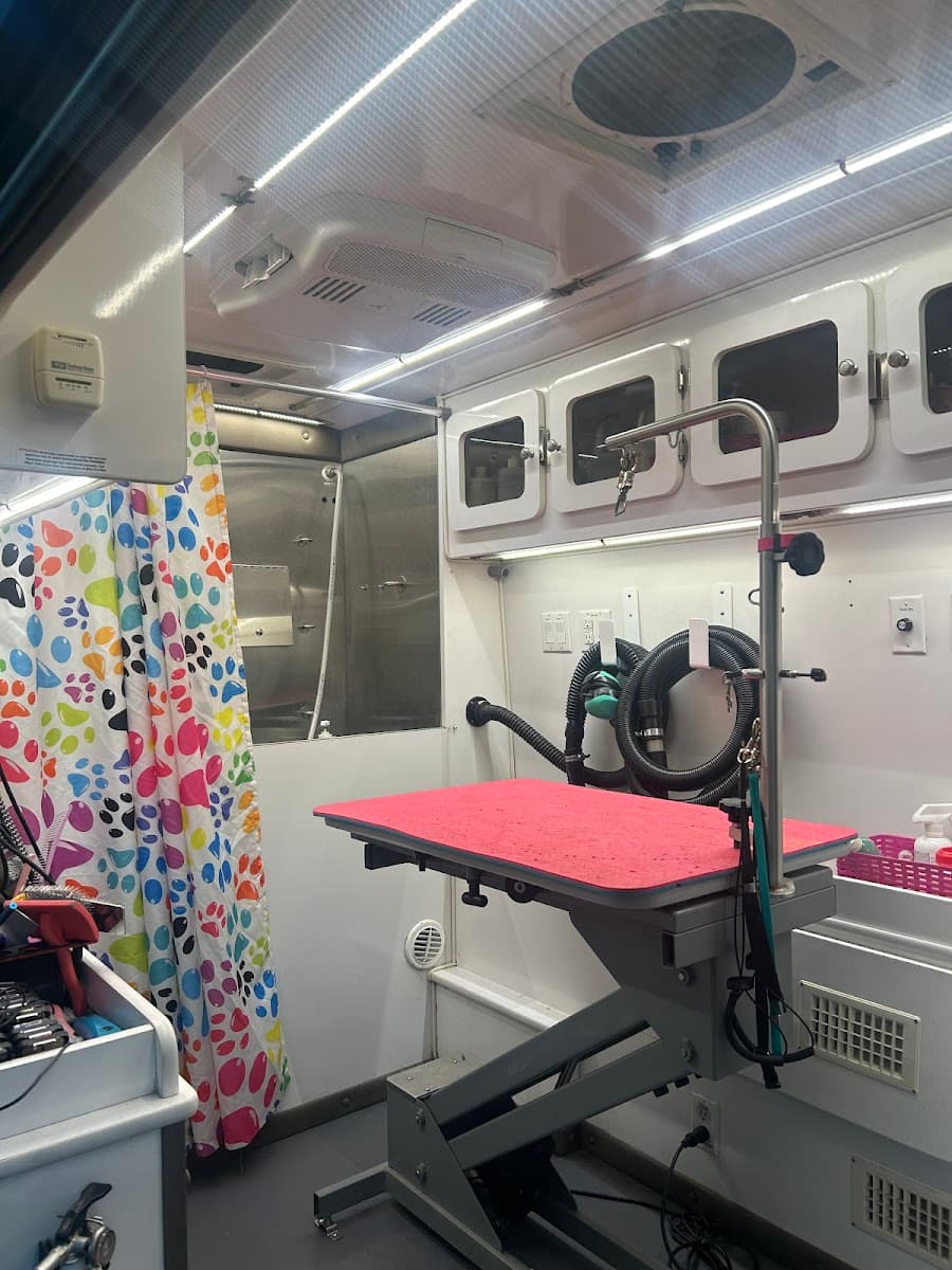 Maddie's Mobile Dog Grooming - Mobile dog grooming in Applebachsville, PA