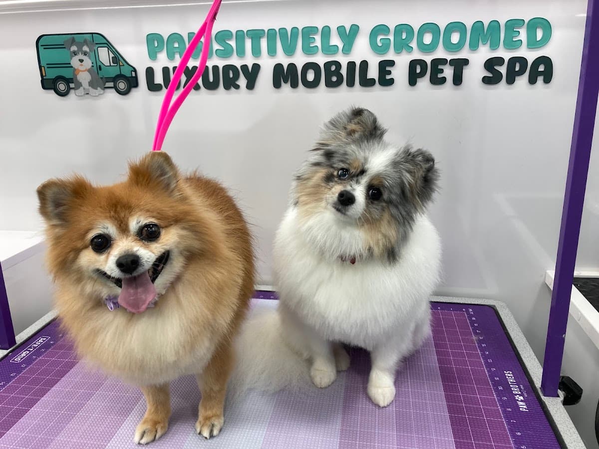 Pawsitively Groomed Luxury Mobile Pet Spa - Mobile dog grooming in Jacksonville, FL