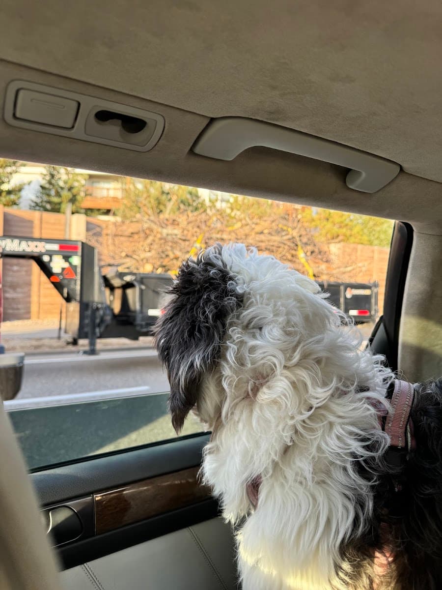 Pet Evolution - Blaine, MN - Grooming | Self-Wash | Healthy Food | Mobile Nail Trim - Mobile dog grooming in Blaine, MN