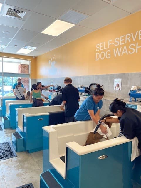 Pet Evolution - Fairfax, VA - Grooming | Self-Wash | Healthy Food | Mobile Nail Trim - Mobile dog grooming in Fairfax, VA