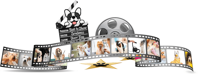 Sundance Pet Grooming - Cornelius Salon & Mobile - Mobile dog grooming in Cornelius, NC