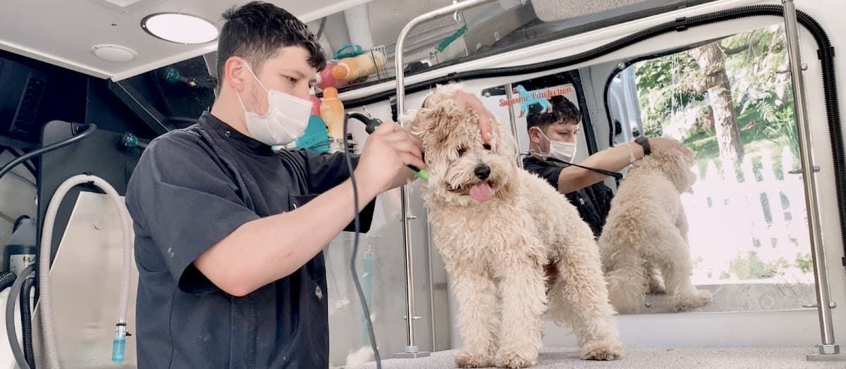 Supreme Pawfection Mobile Dog Grooming Los Angeles, CA - Mobile dog grooming in Los Angeles, CA